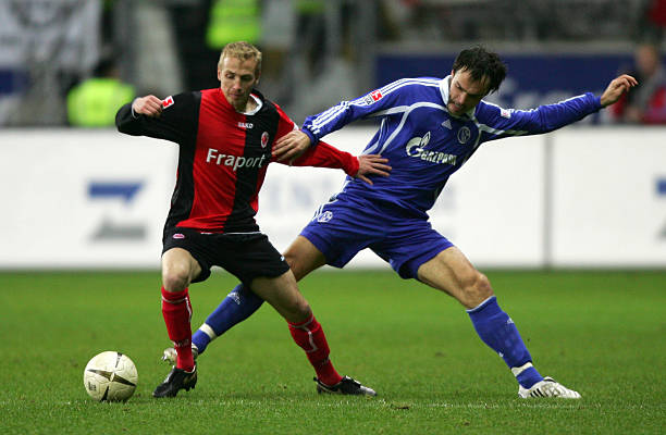 生态的重要 生态的重要