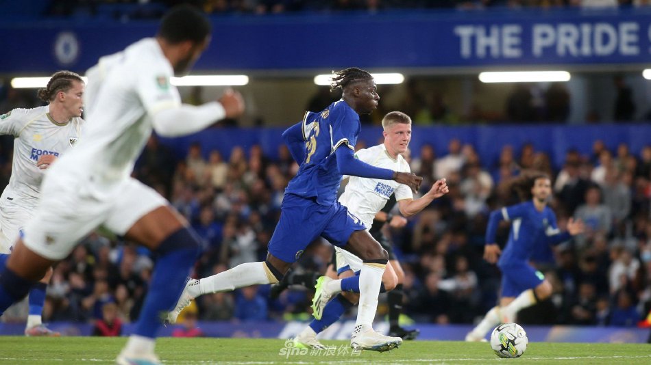 业发展提供 业发展提供